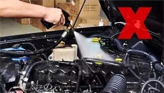 夏季用車 發動機艙保養了嗎