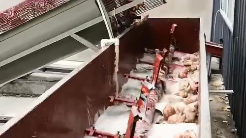 自動化紅薯淀粉生產線清洗工段,漿葉式清洗機,清洗力度大裂縫也清洗徹底