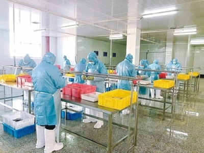 【強(qiáng)信心 增動(dòng)能-高質(zhì)量發(fā)展一線報(bào)道】把&ldquo;舌尖&rdquo;上的產(chǎn)業(yè)做精做細(xì)