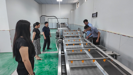 崇陽(yáng):鄉(xiāng)村工坊 讓農(nóng)產(chǎn)品從田間走向廣闊市場(chǎng)